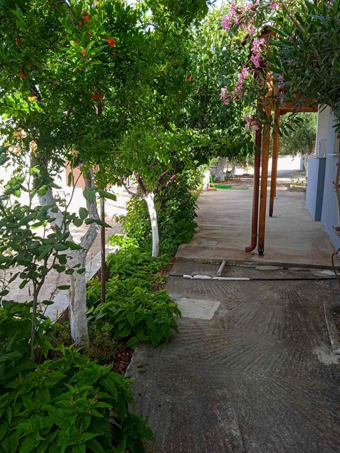 Κυανή Ακτή - Agia Paraskevi Mákri Exteriér fotografie