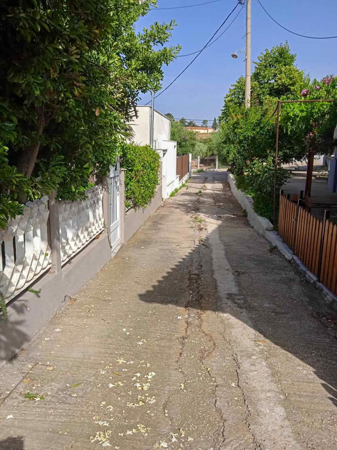Κυανή Ακτή - Agia Paraskevi Mákri Exteriér fotografie