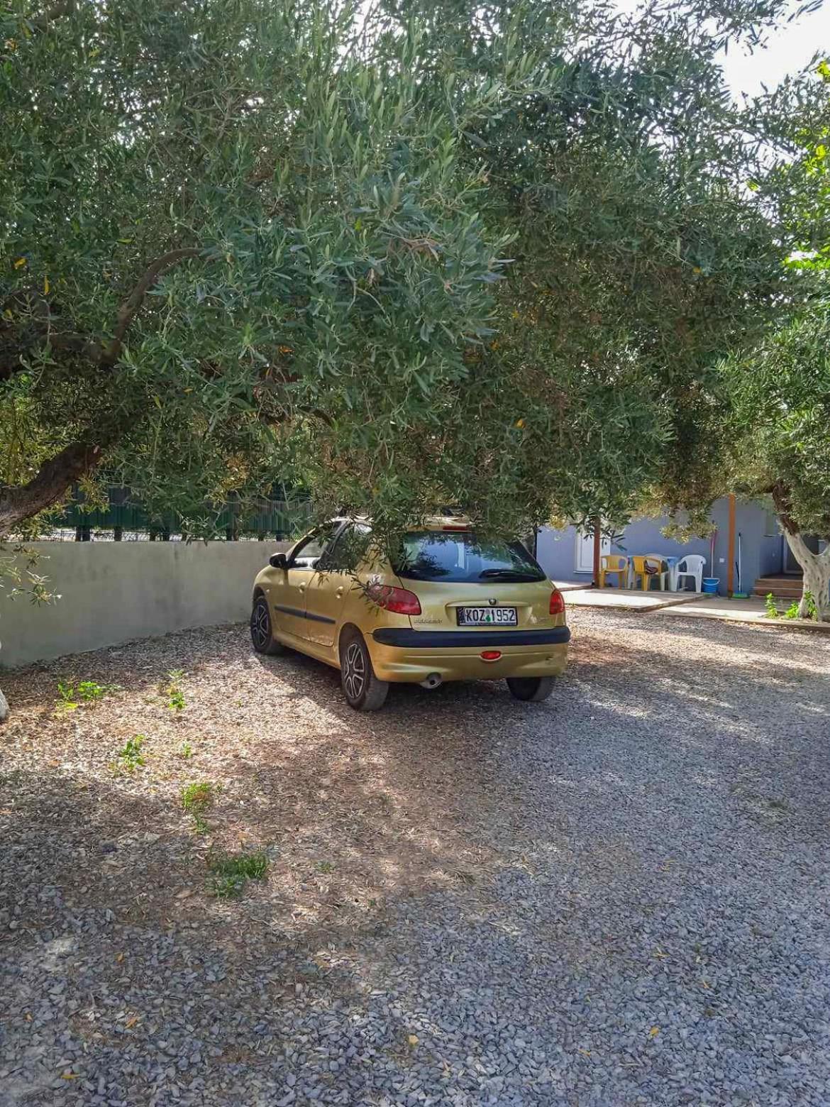 Κυανή Ακτή - Agia Paraskevi Mákri Exteriér fotografie
