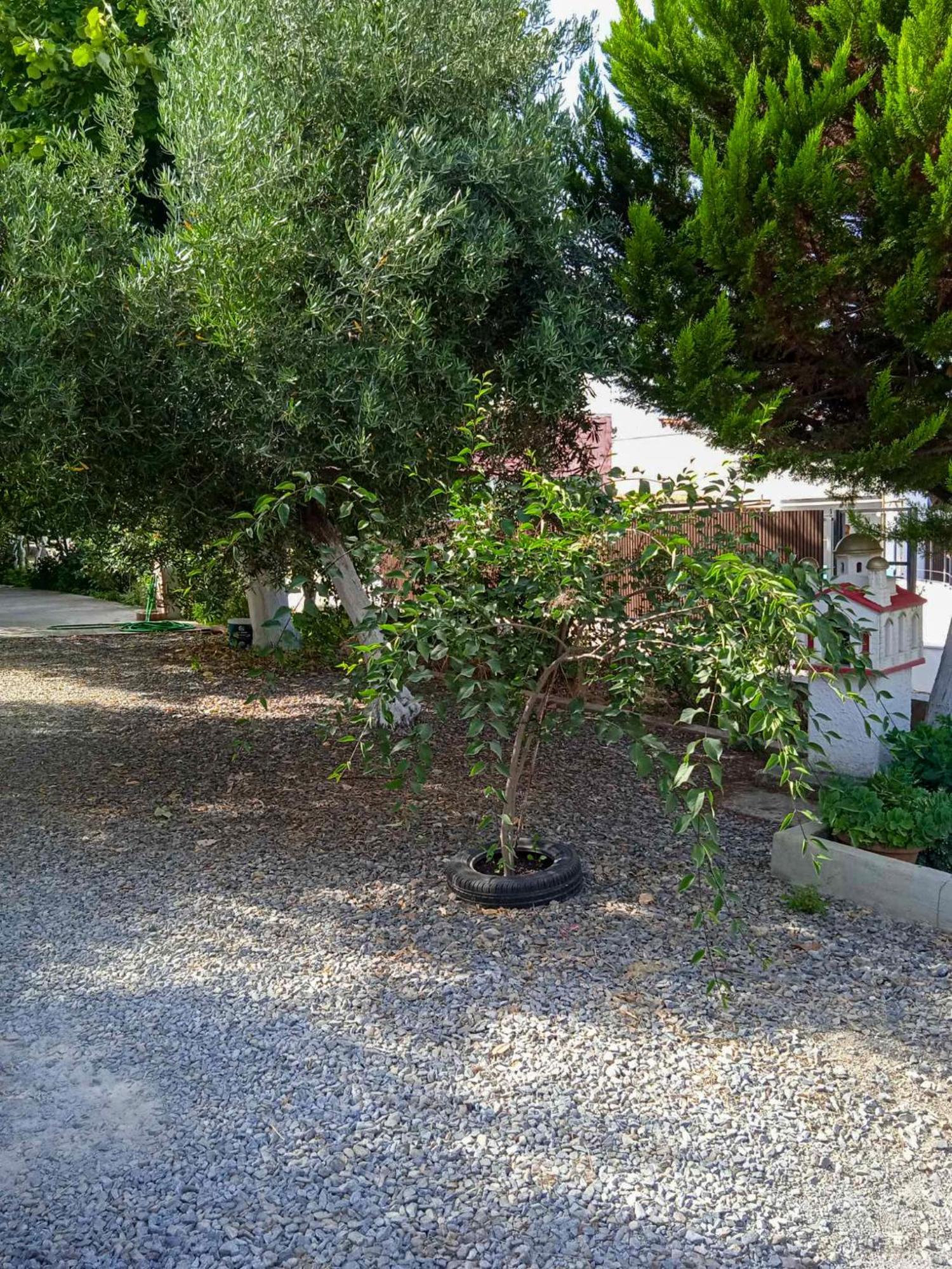 Κυανή Ακτή - Agia Paraskevi Mákri Exteriér fotografie